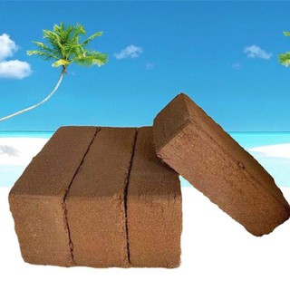 [Hàng có sẵn]Đất mùn nén trồng cây cối