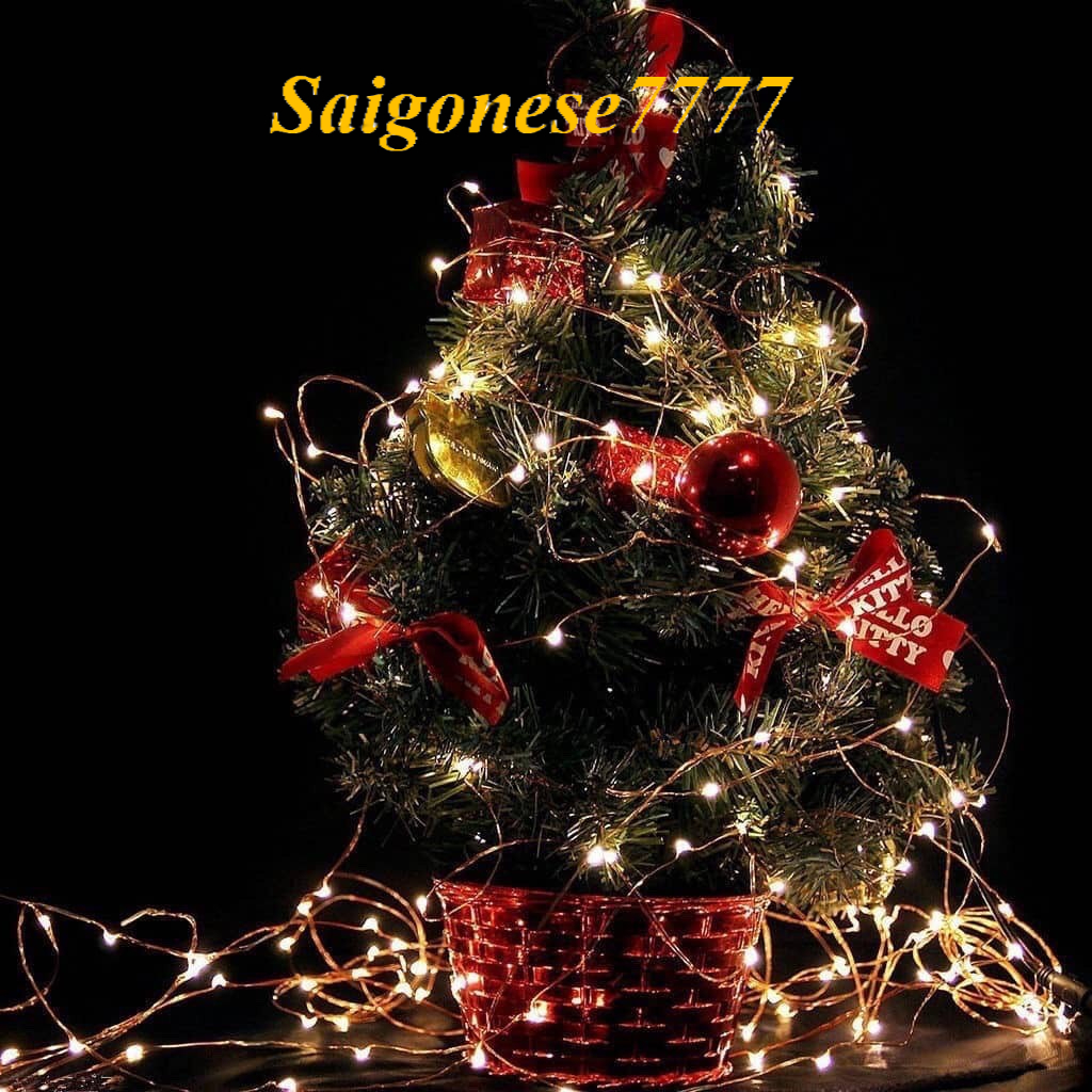 (Kèm Sẵn Pin) Dây Đèn Led Đom Đóm Fairy Light Trang Trí Decor Quấn Cây Noel Lễ Tết Chỉnh Đèn Chớp Nháy Ag13