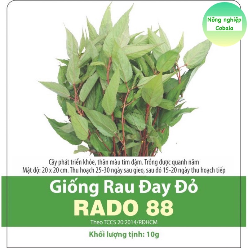 Hạt Giống Rau Đay Đỏ Dễ Trồng, Nhiều Dinh Dưỡng 10gr