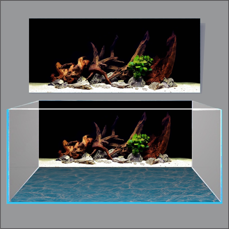 TRANH THỦY SINH DÁN HỒ CÁ 3D NEW DESIGN_TRANH LƯNG