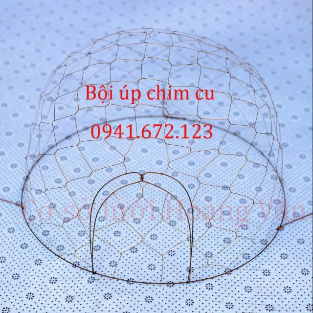 Bội úp chim cu gáy 99k