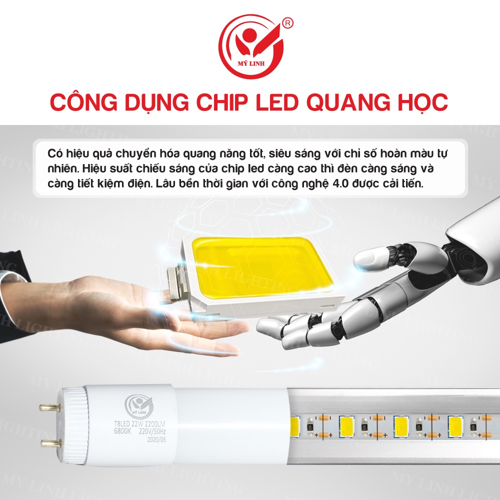 Bóng tuýp và máng đèn Mỹ Linh loại 60cm và 1m2 - Bảo hành 12 tháng