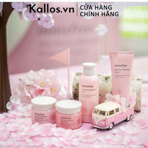 Bộ Chăm Sóc Da Innisfree Jeju Cherry Blossom Tone Up Cream, Jelly Cream, Lotion, Skin, Jam Cleanser - Kallos Vietnam