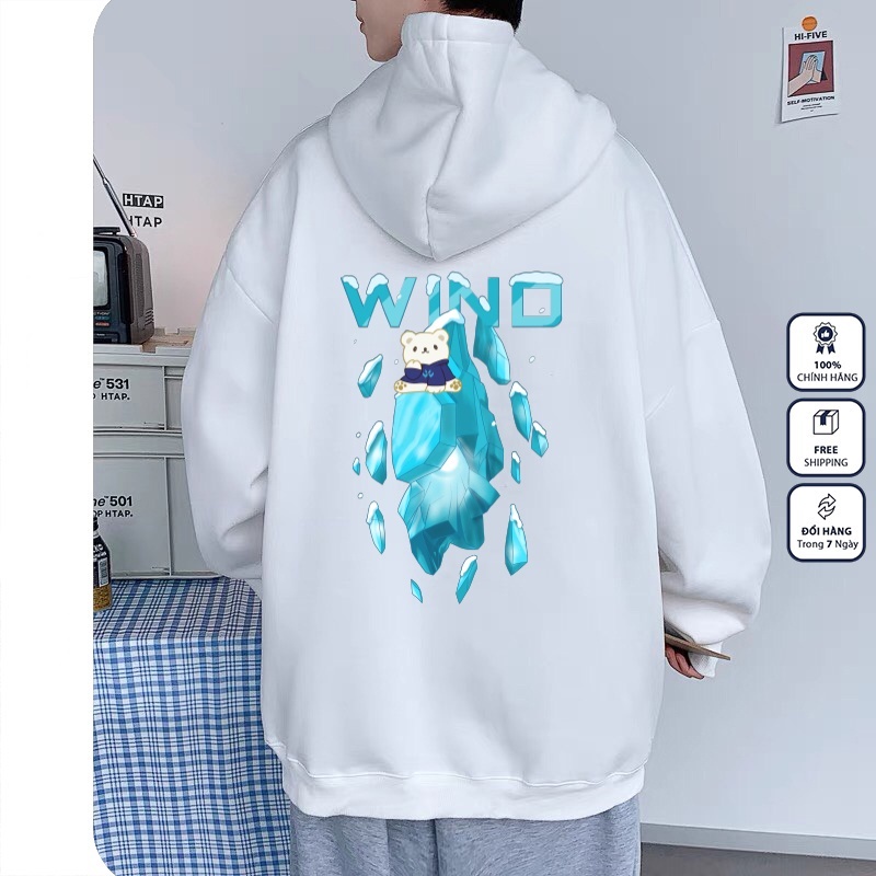 Áo Hoodie form rộng thu đông 2022 ( N31)