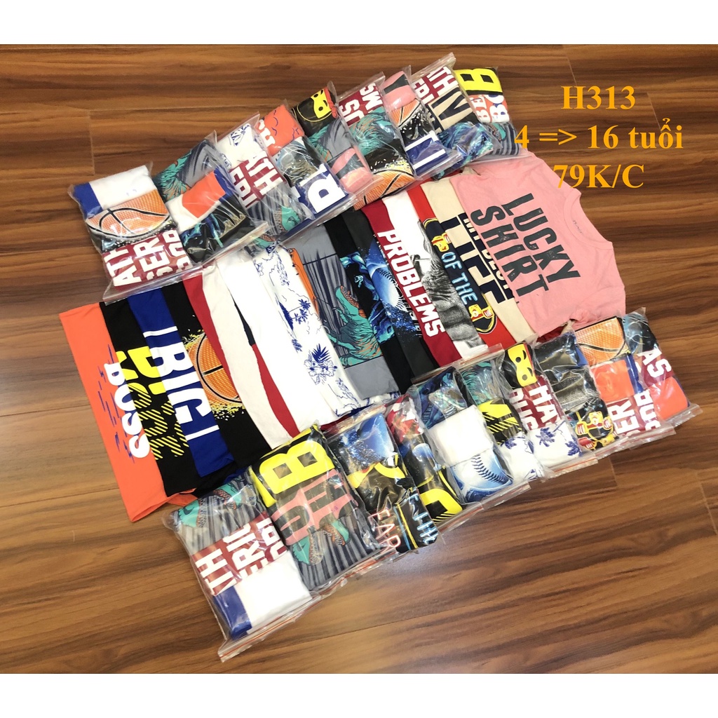* Mã H313:  Áo bé trai cotton hàng VNXK dư xịn. Chất cotton mềm, thấm hút mồ hôi BC 9373