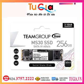 Team Group Ổ cứng SSD MS30 M.2 SATA SSD 256Gb - Hàng chính hãng