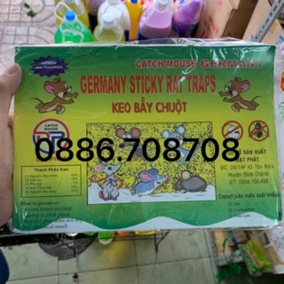 Combo 10 miếng Keo bẩy chuột đại phát