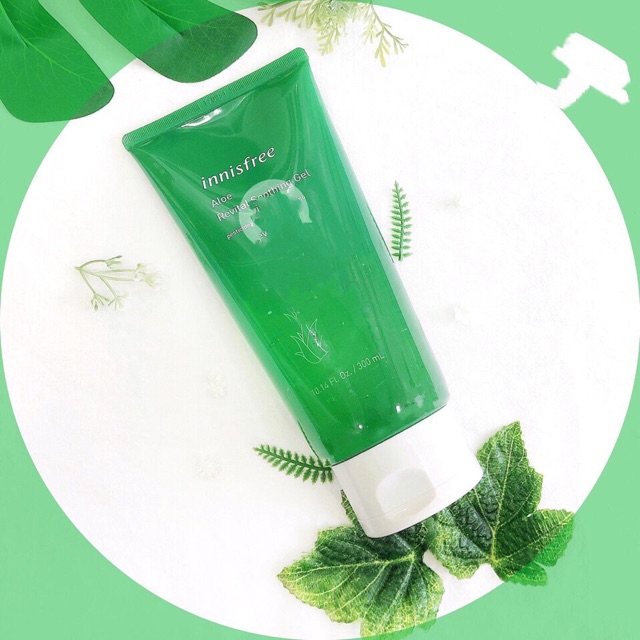 GEL NHA ĐAM INNISFREE ALOE