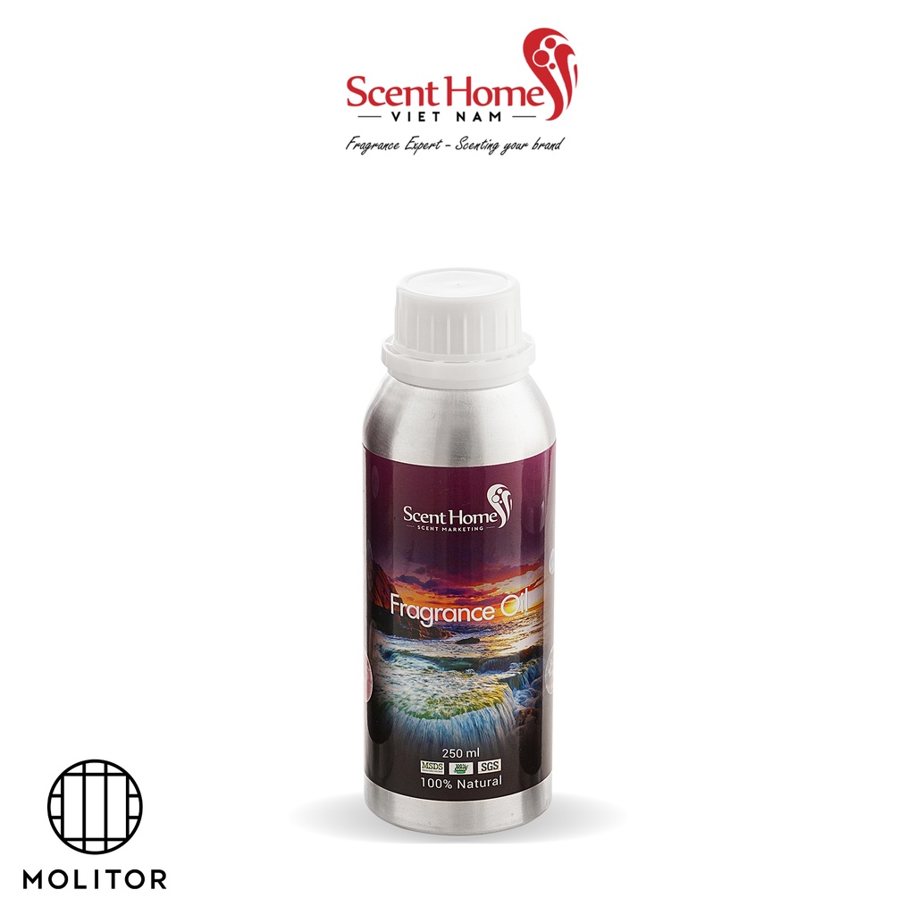 [Chính hãng] Tinh dầu Molitor Paris Hotel - ScentHomes (Molitor Paris Hotel - 50ml,100ml,250ml)