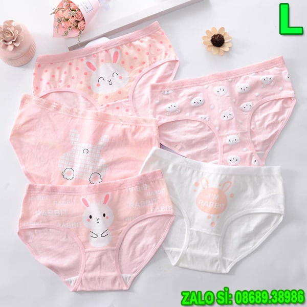 SỈ ZALO RẺ HƠN_ Quần Lót 5 Kiểu Kute 5026 Size L