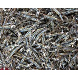 KHÔ CÁ CƠM THIÊN NHIÊN NHA TRANG- Vựa Khô Minh Triết