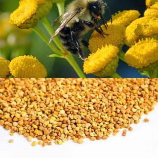 Phấn Hoa Rừng Tây Bắc Phúc Khang 350g/Hũ