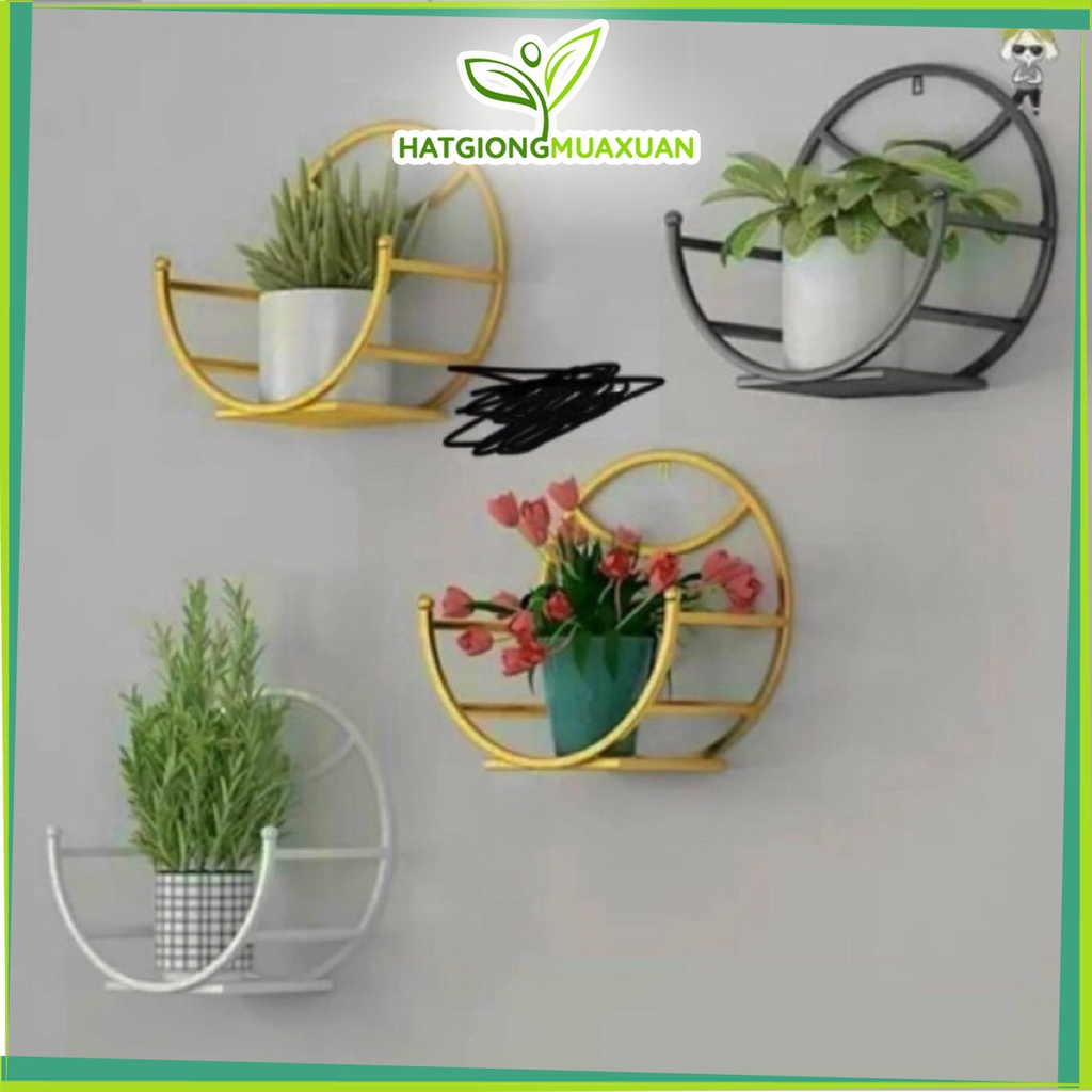 Kệ giá sắt nửa - Kệ sắt treo chậu hoa đẹp và sang