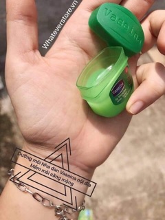 Son dưỡng môi Vaseline nha đam