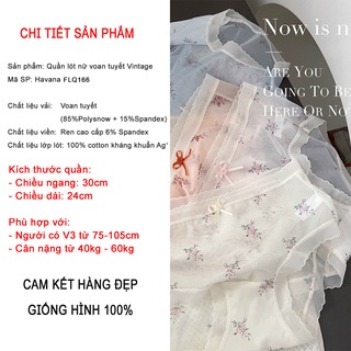 Quần lót nữ voan tuyết họa tiết Vintage -Quần chip nữ cao cấp PT STORE  FLQ166