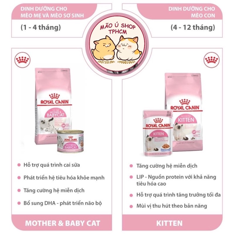 PATE ROYAL CANIN KITTEN GÓI 85G