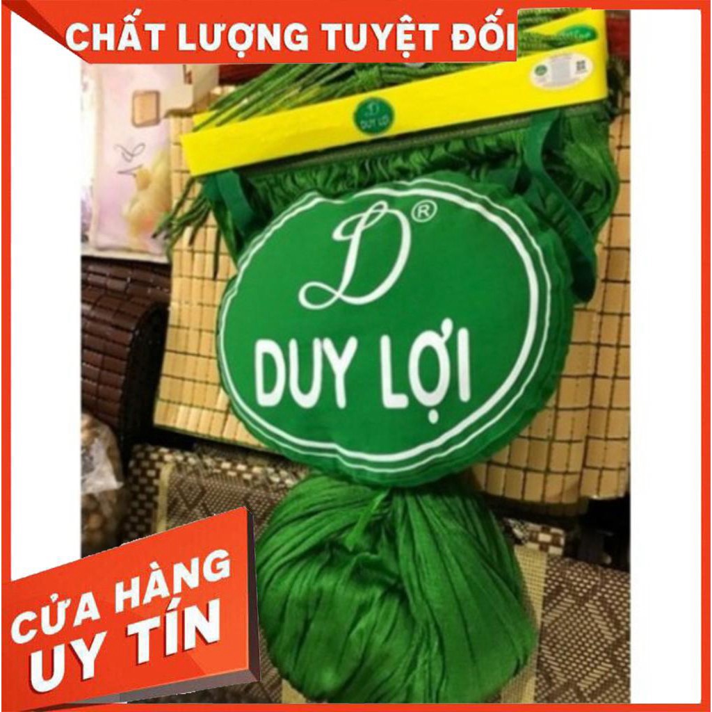 [XẢ KHO 1 NGÀY] [SIÊU SALE] Lưới Võng Xếp Duy Lợi + Gối (Cỡ lớn loại 18 lỗ - Không kèm khung)