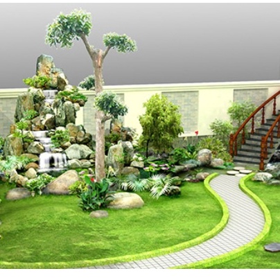 Hạt giống cỏ nhung nhật, hạt cỏ sân vườn tỷ lệ nảy mầm 100%