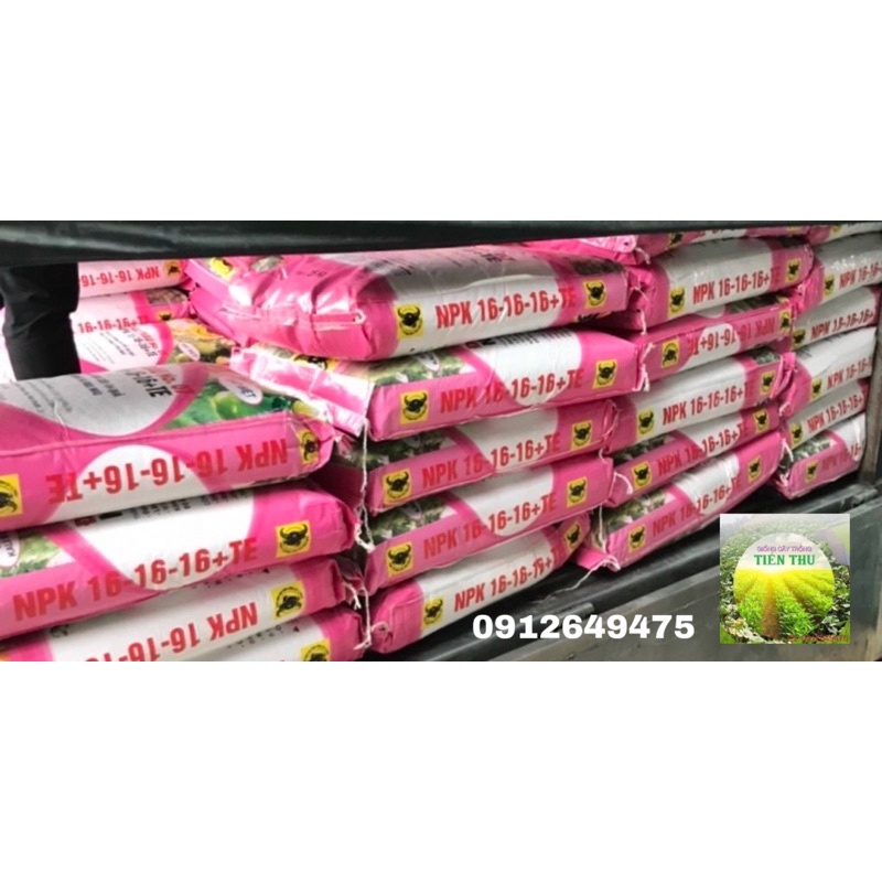 PHÂN BÓN NPK 16-16-16+TE ĐẦU TRÂU 1kg