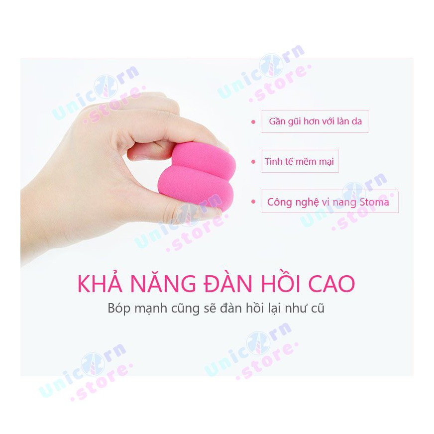 Hộp 4-8 Bông Mút Trang Điểm Tán Kem Nền Hình Hồ Lô, Oval, Giọt Nước