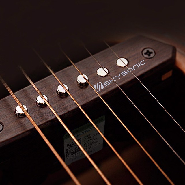 Bộ Thu Âm - Pickup Guitar Acoustic Skysonic A-810