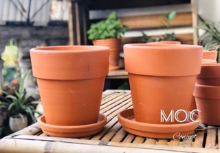 Chậu Đất Nung Ly Gờ 15cm