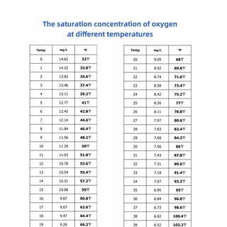 Máy đo oxy hòa tan trong nước
