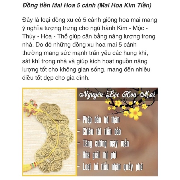 Đồng xu hoa mai kim tiền, xu phong thủy chiêu tài lộc