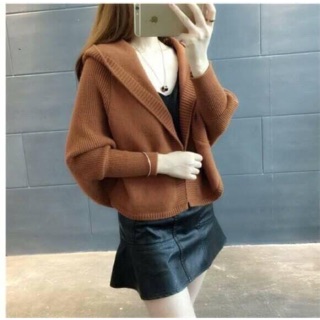 Áo len tay cánh dơi kiểu thời trang ulzzang NL479
