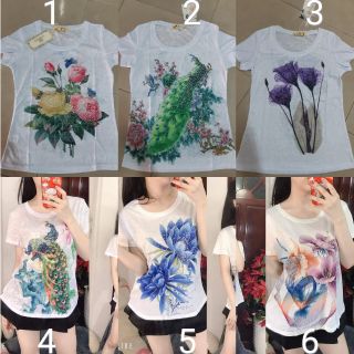 Áo thun giấy đính đá QC cao cấp có size