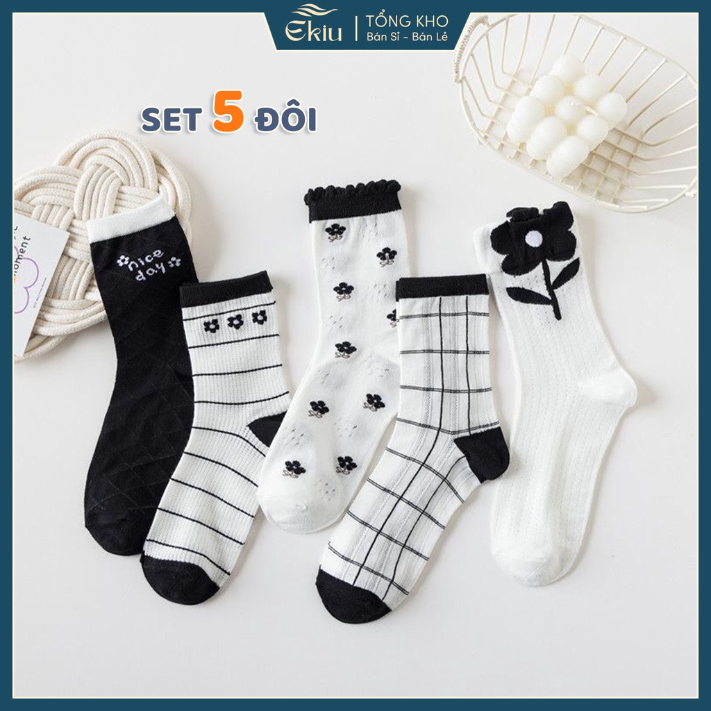 Tất cổ cao set 5 đôi họa tiết dễ thương, vớ cổ cao chất liệu cotton co giãn 4 chiều - Ekiu Shop