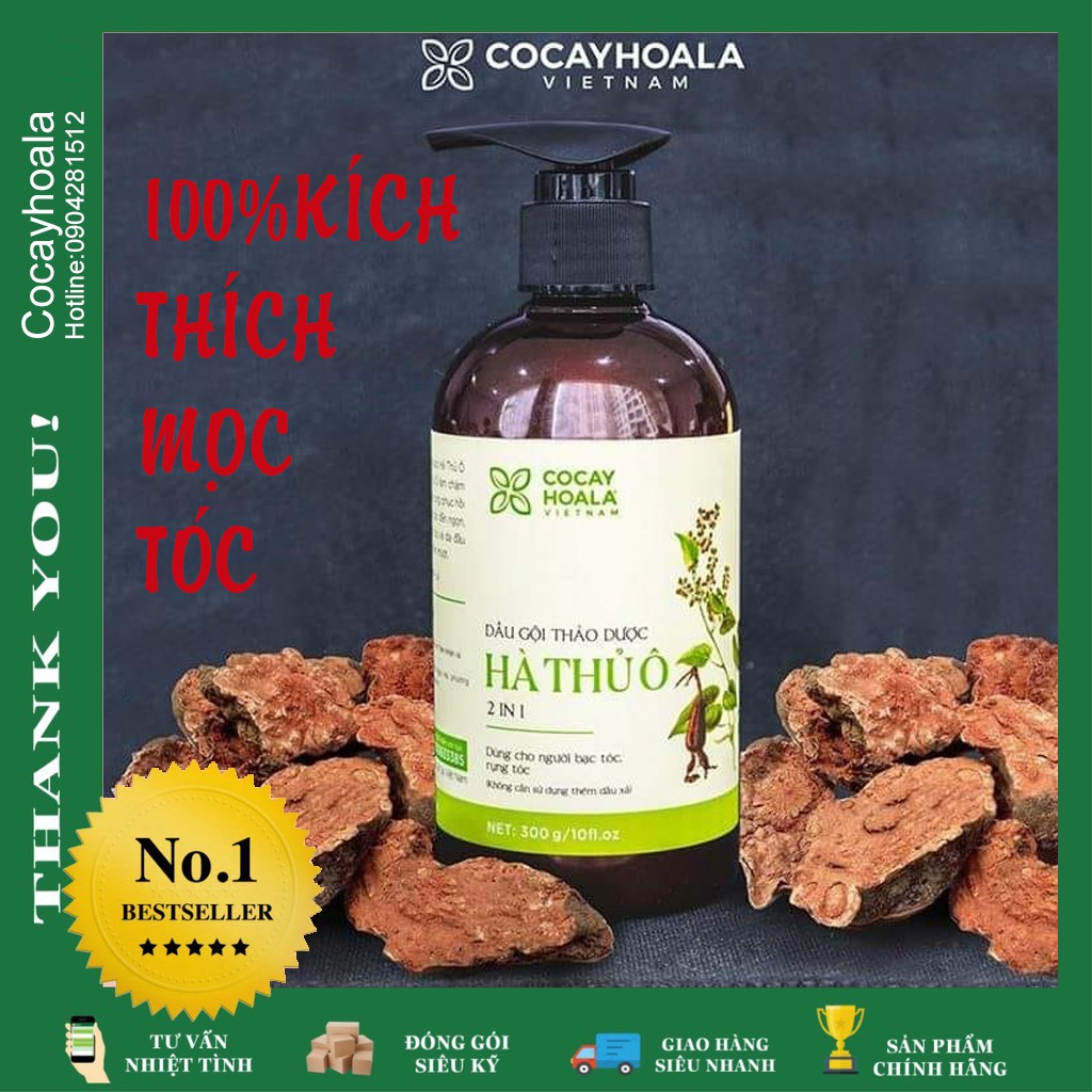 Dầu Gội Hà Thủ Ô 2in1 - Dầu Gội Ngăn rụng tóc, Giảm Rụng Tóc Bạc Tóc chống hói đầu Cocayhoala 300ml | BigBuy360 - bigbuy360.vn