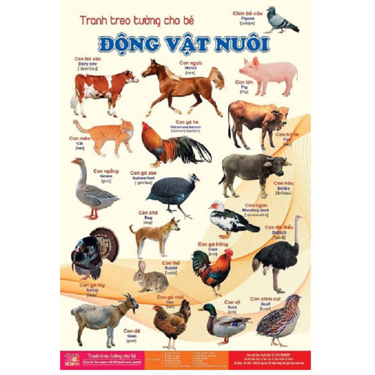 Tranh treo tường 14 chủ đề cho bé khám phá thế giới xung quanh