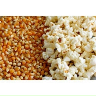Bắp Nổ Rang Bơ - Bắp Mỹ (dùng làm món BẮP RANG BƠ) POP CORN