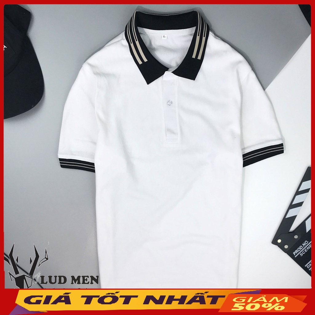 Áo Thun Nam - Áo Polo Nam Phối Viền Chất cá sấu cotton co giãn, Áo Có Cổ, Trẻ Trung, Cá Tính Màu Trắng