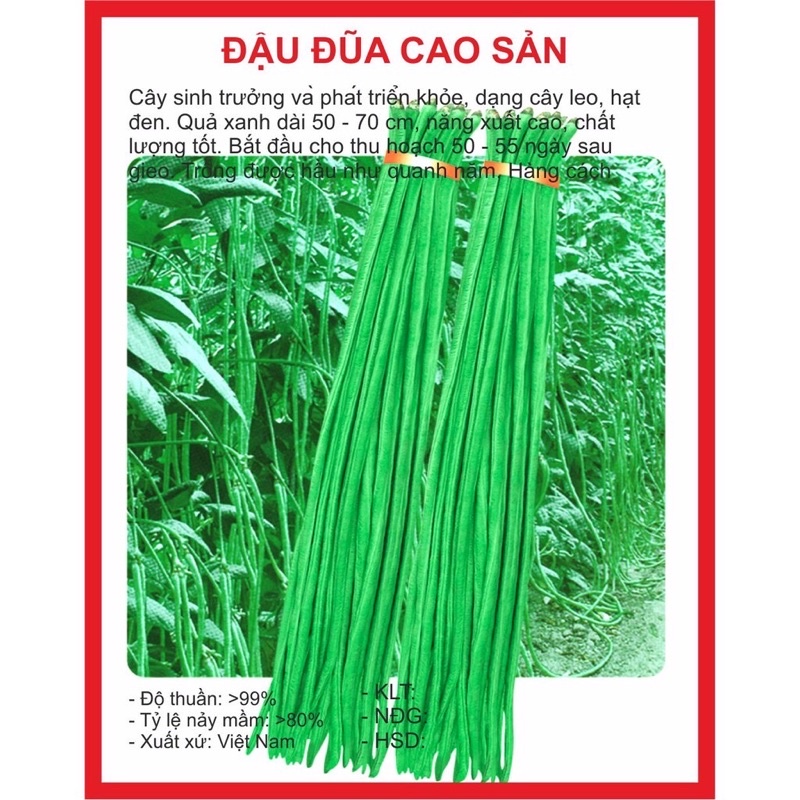 Hạt giống Đậu Đũa 20gram