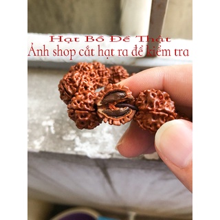 Hạt bồ đề - Bán lẻ từng hạt