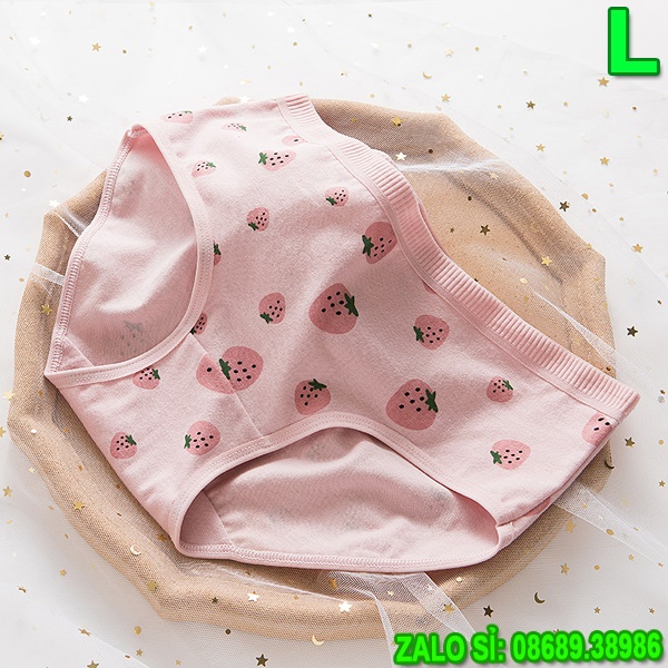 SỈ ZALO RẺ HƠN_ Quần Lót 5 Kiểu Kute 5048 Size L