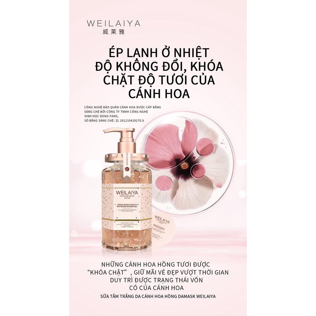 Sữa tắm Weilaiya trắng da cánh hoa hồng Damask - Hoa trà Nhật Bản 450ml