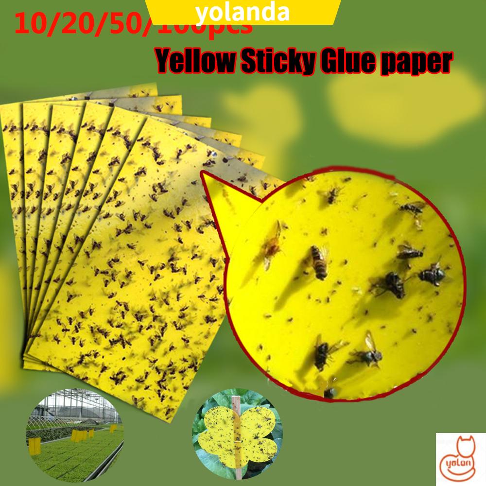 ☆Yarmai Yaa Yacao YOLA YOLA☆ Set 10 / 20 Cuộn Keo Dính Côn Trùng Tiện Dụng