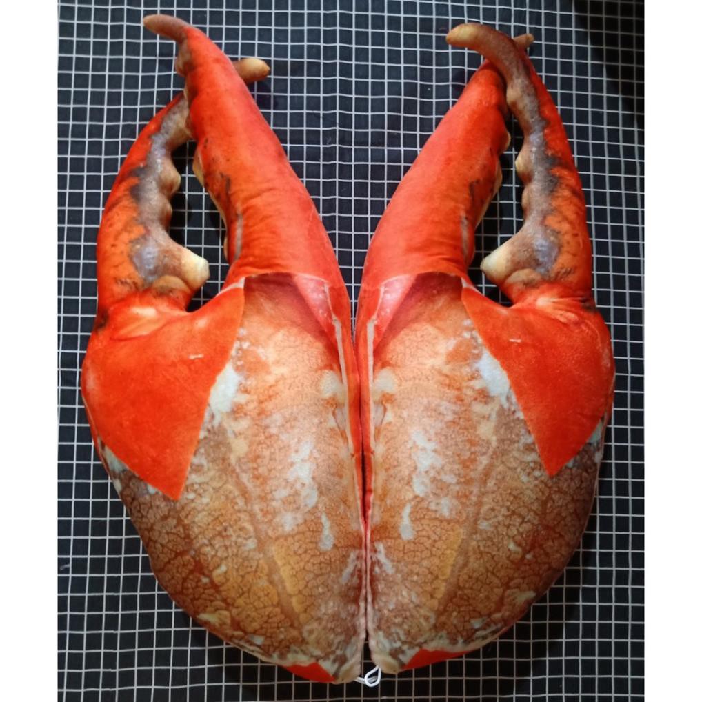 Gấu bông càng cua 3d