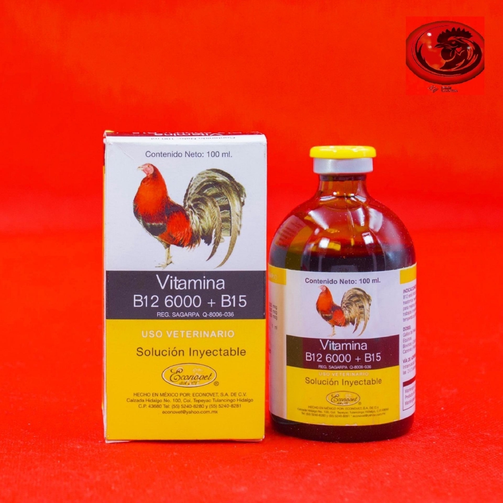 Vitamin B12 6000 + B15 cho gà đá
