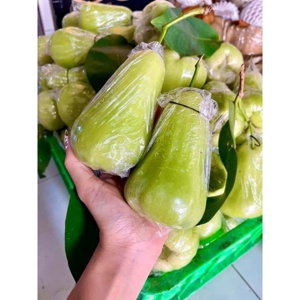 Cây giống Mận Xanh Tam Hoa