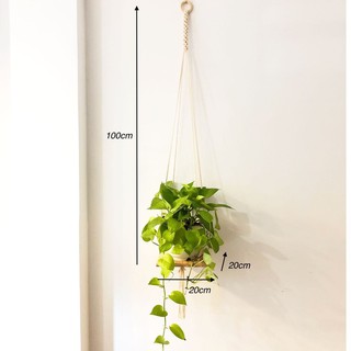 Kệ treo tường đế gỗ để chậu hoa Macrame (gỗ tự nhiên 20x20cm, dây cotton)