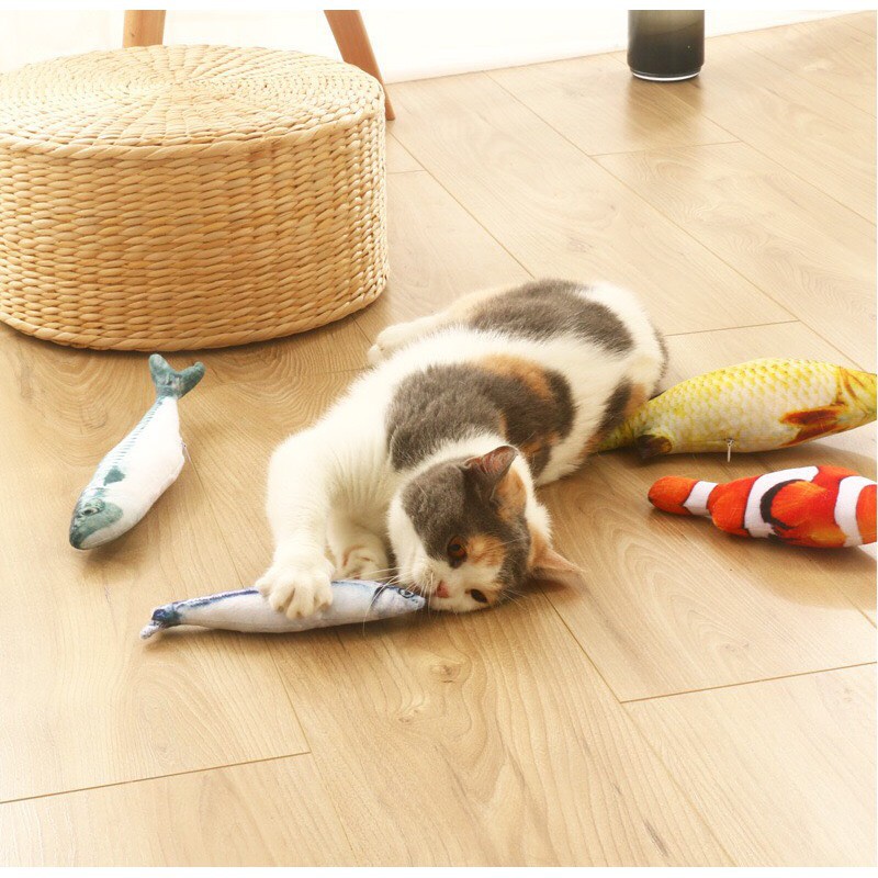 Cá catnip nhồi bông đồ chơi cho mèo
