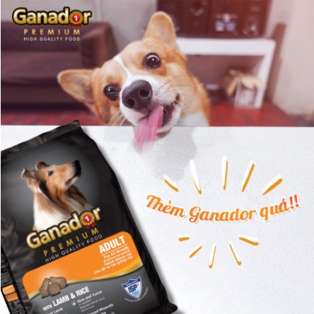 hạt chó GANADOR PUPPY / ADULT 3KG ĐỦ LOẠI