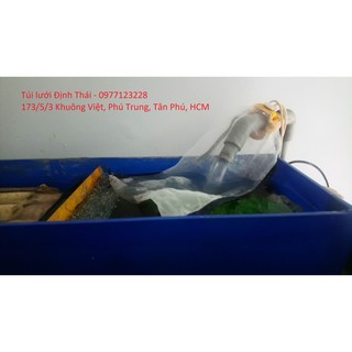 Túi lọc hồ cá chống tràn Định Thái size M 20x30cm