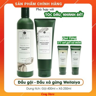 Dầu gội Weilaiya, dầu gội gừng , 100% từ thiên nhiên