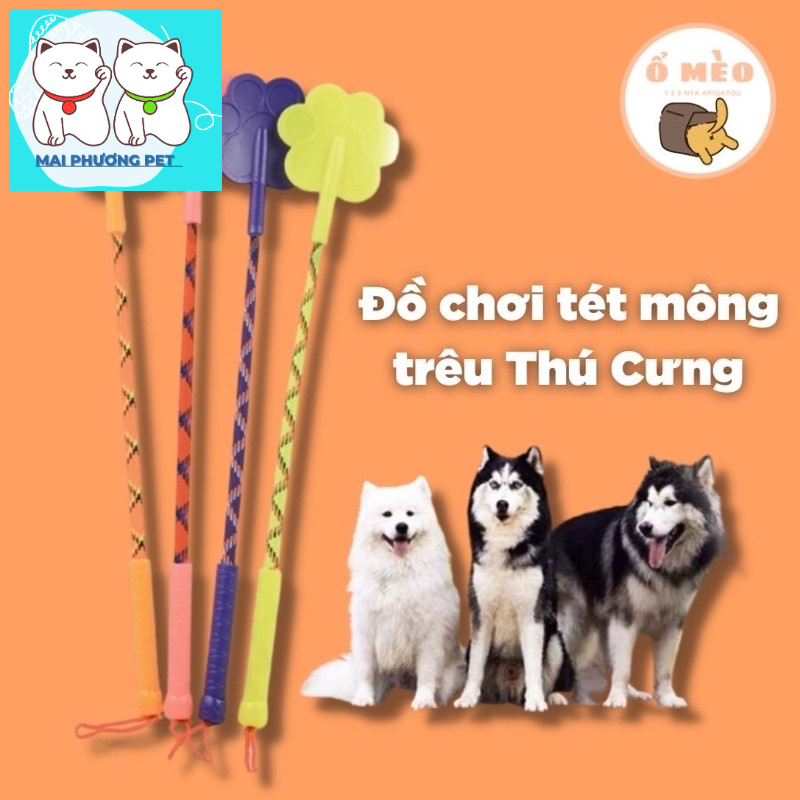 Roi tét đít thú cưng rèn kỷ luật gậy huấn luyện chó mèo biết nghe lời (màu ngẫu nhiên)