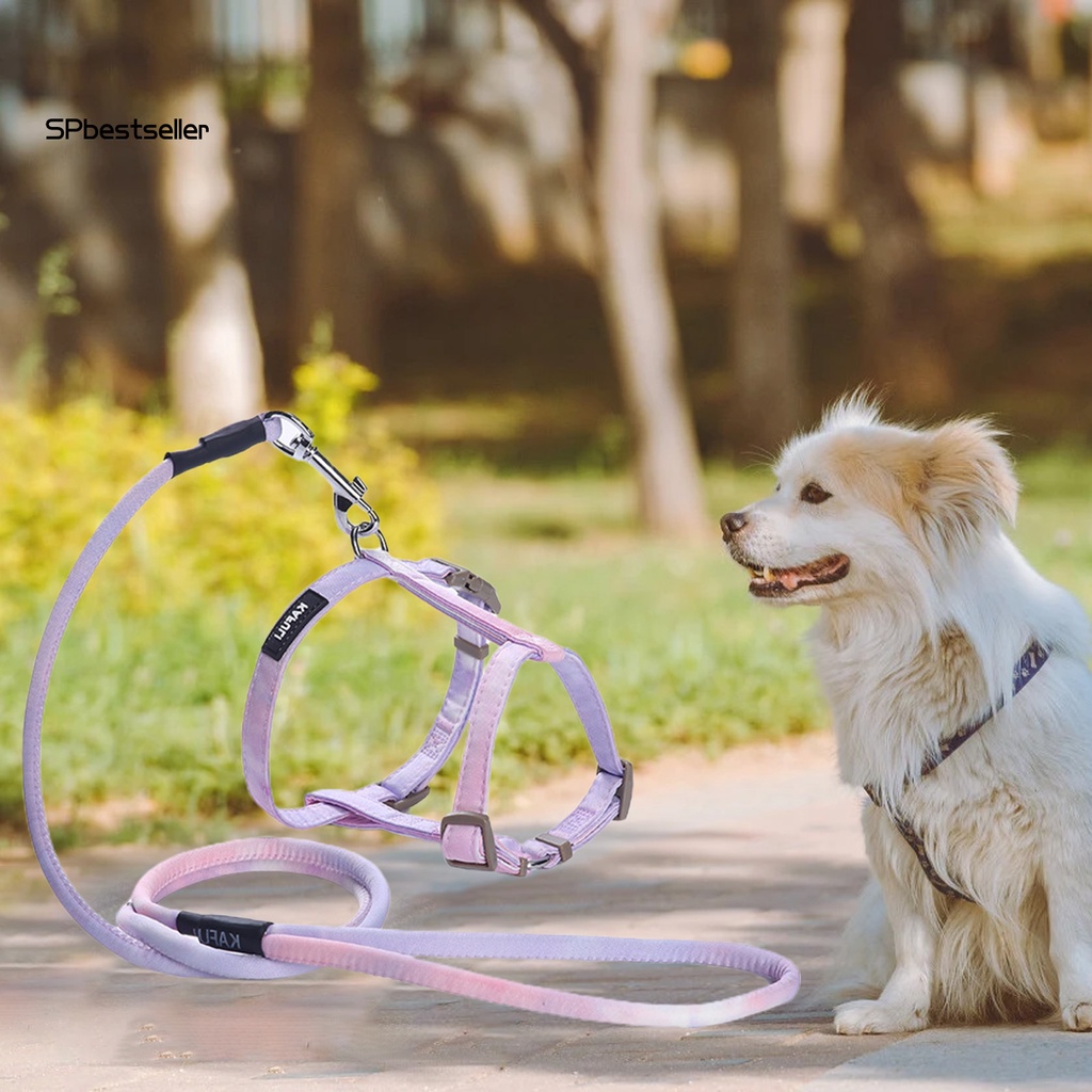 Bộ Dây Dắt Thú Cưng Đi Dạo Có Thể Điều Chỉnh Tiện Lợi